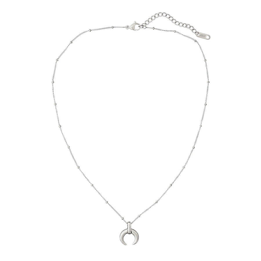 small silver horn on dainty chain
